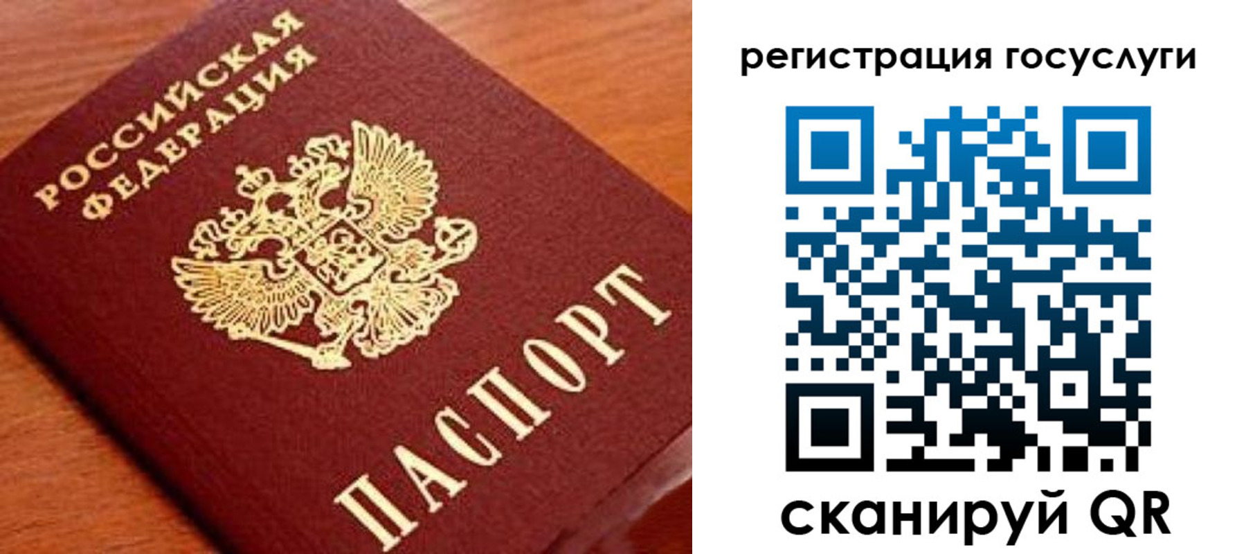 прописка иностранных граждан в Талице